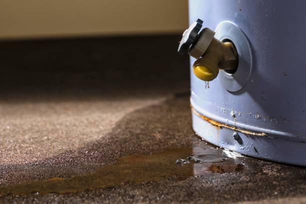 Best Flood restoration services  in Willard, MO