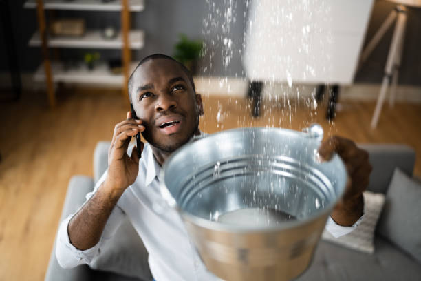 Trusted Willard, MO Water damage restoration Experts