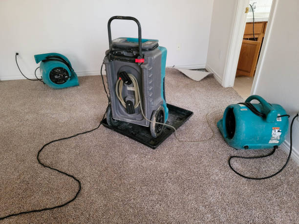 Trusted Willard, MO Water damage restoration Experts