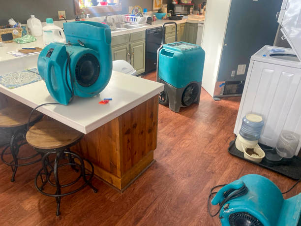 Best Water damage restoration near me  in Willard, MO