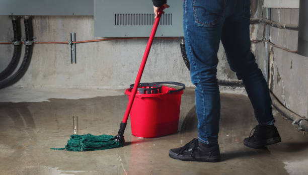Best 24/7 water damage repair  in Willard, MO