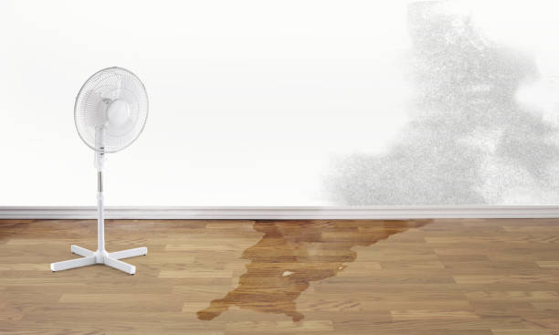 Water damage restoration experts in Willard, MO
