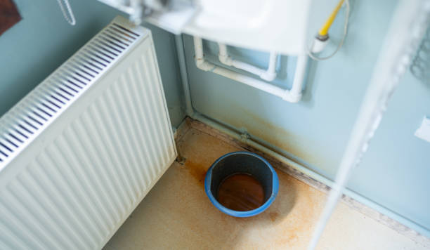 Best Residential water damage restoration  in Willard, MO