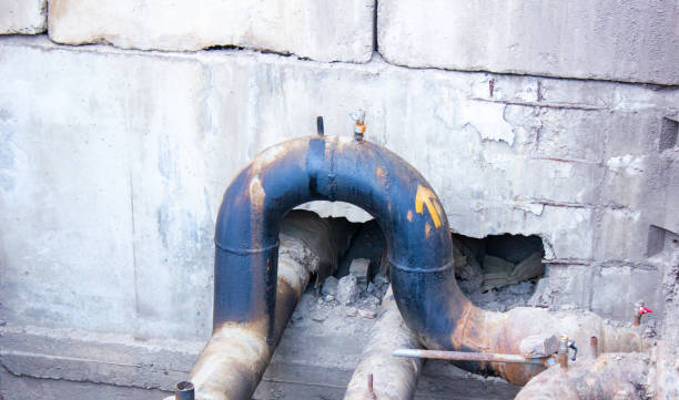 Best Fire Damage Restoration  in Willard, MO