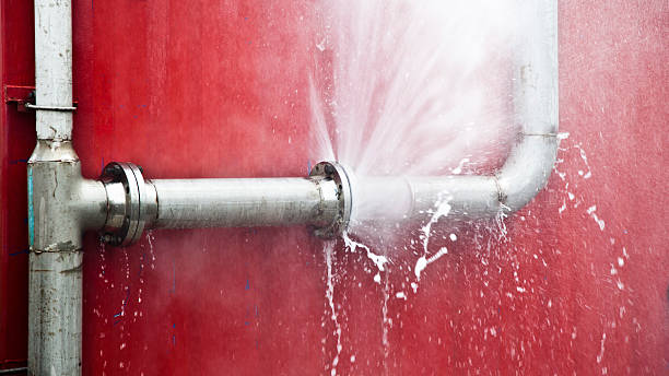 Best Carpet water damage restoration  in Willard, MO