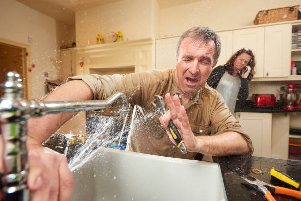 Best Carpet water damage restoration  in Willard, MO